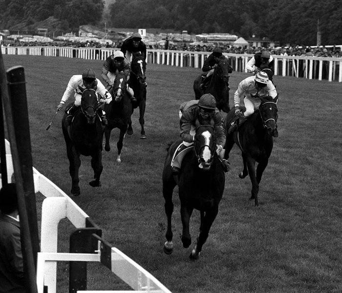 Shergar y el jockey Walter Swinburn encabezan la carrera, 1981. Foto: Cordon.