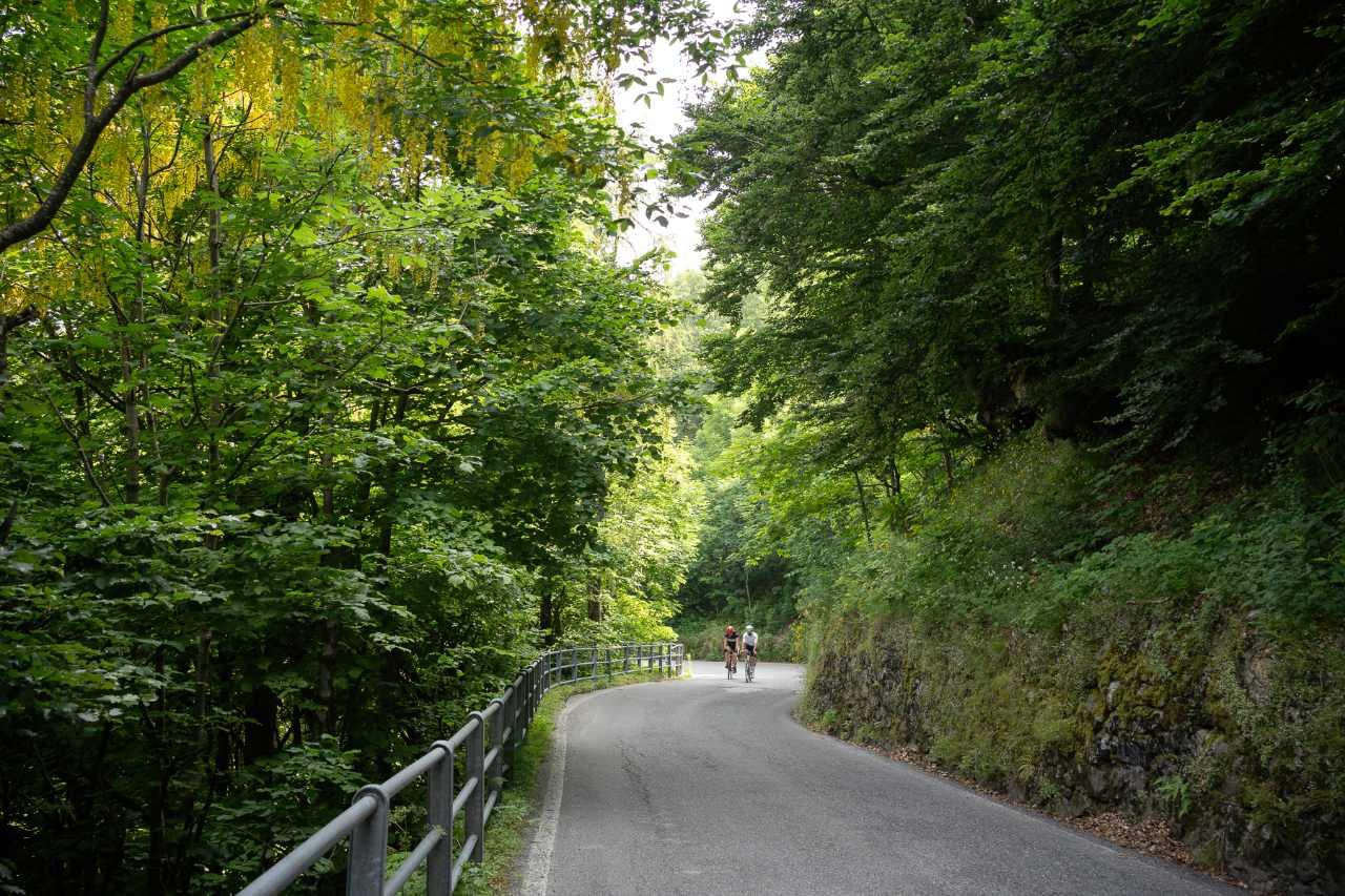 Brujas, viñas y reyes saboyanos: pedaleando por el Piamonte 7 Piamonte
