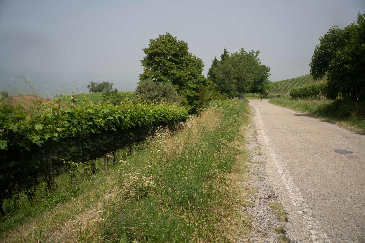 Brujas, viñas y reyes saboyanos: pedaleando por el Piamonte 4 Piamonte