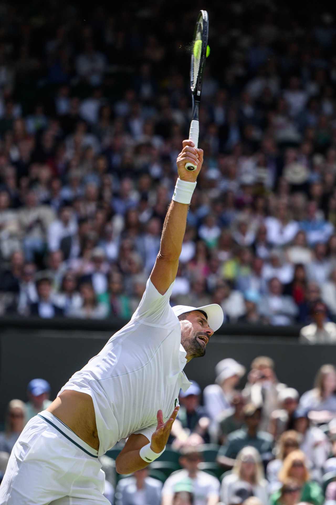 Novak Djokovic: «Jugar contra Rafa Nadal era el mayor reto posible en la historia de nuestro deporte» 4 Novak Djokovic (Foto: Cordon Press)