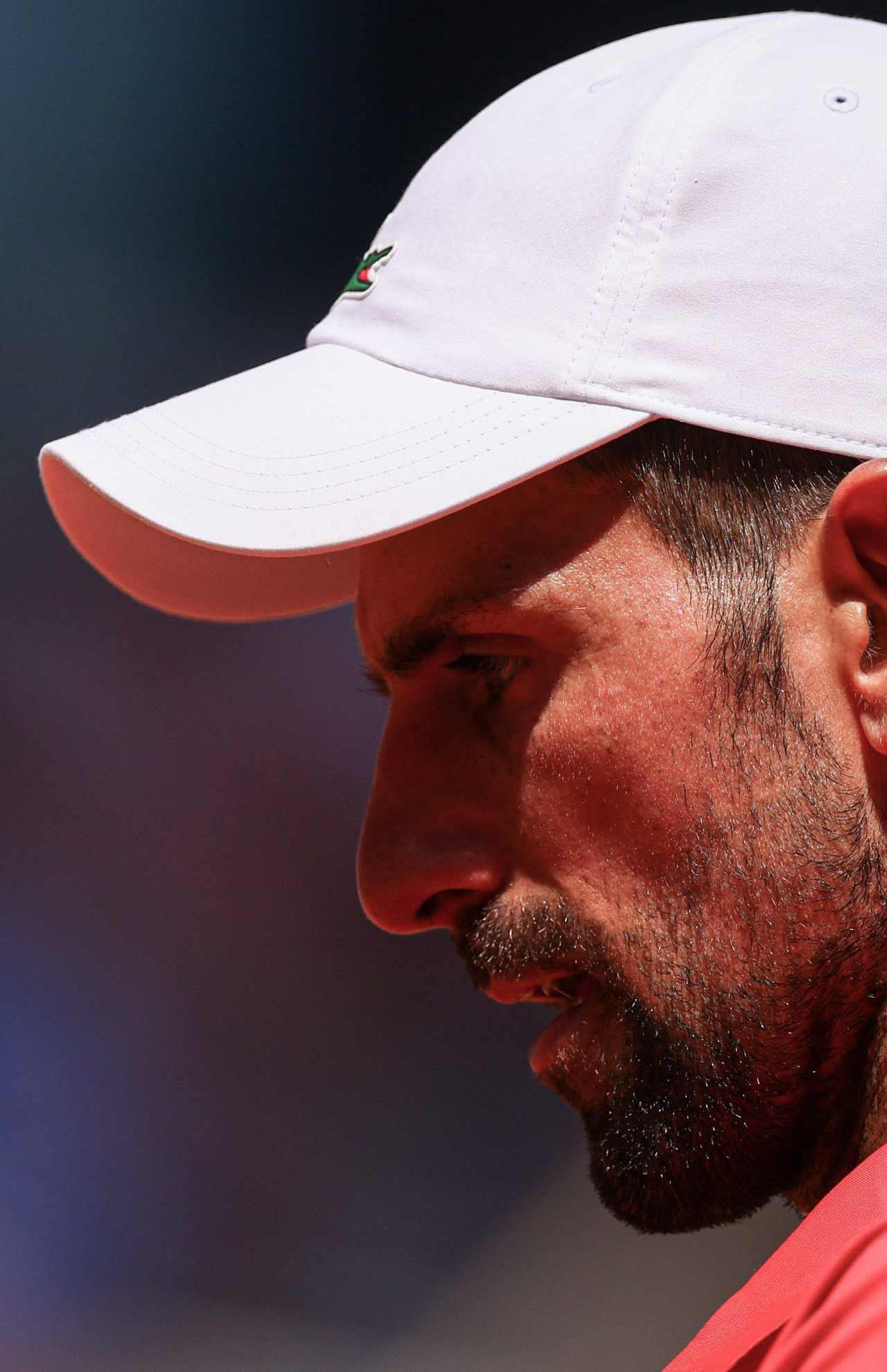 Novak Djokovic: «Jugar contra Rafa Nadal era el mayor reto posible en la historia de nuestro deporte» 7 Novak Djokovic (Foto: Cordon Press)