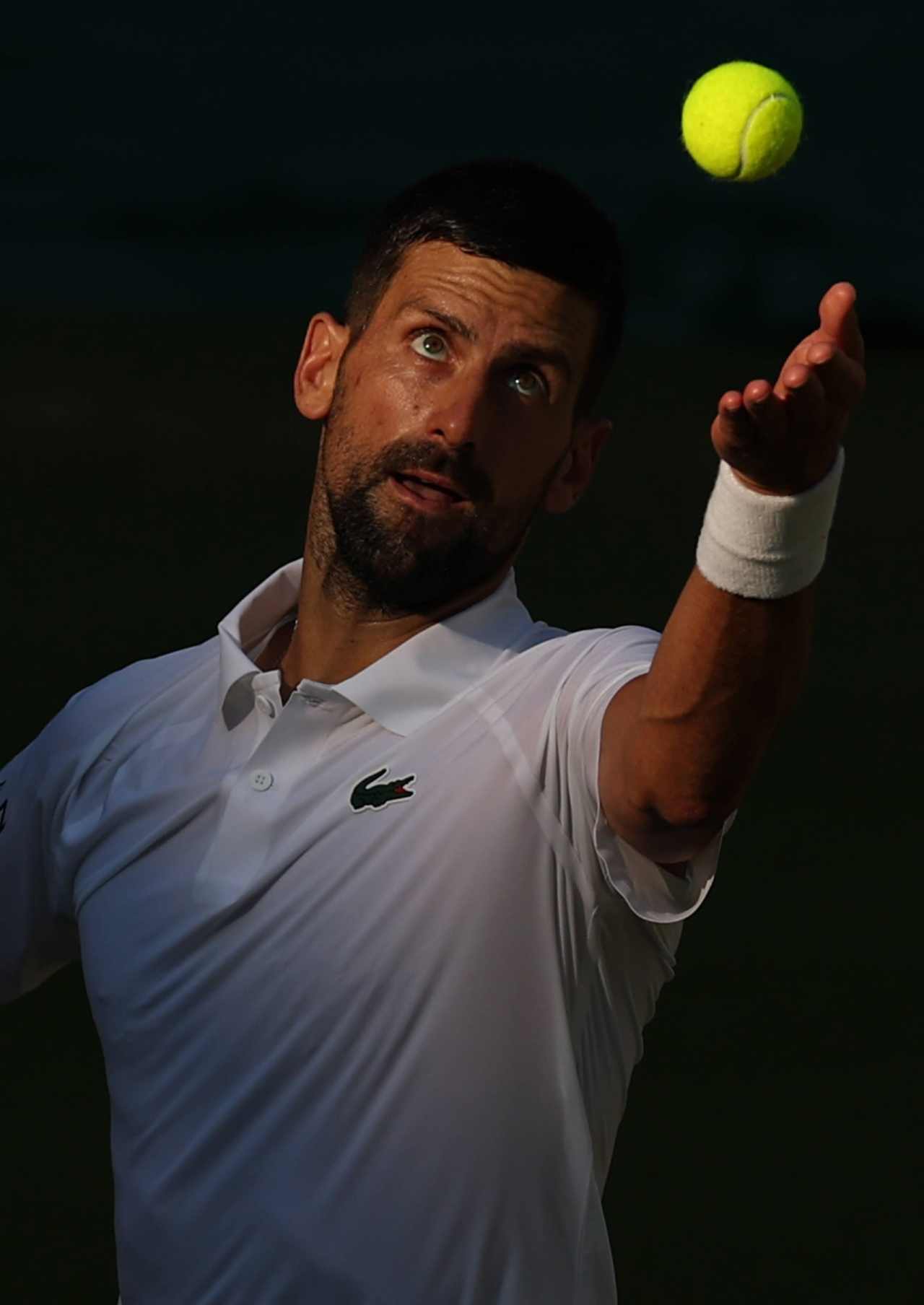 Novak Djokovic: «Carlos Alcaraz me pasó por encima en la final de Wimbledon 2024» 2 Novak Djokovic (Foto: Cordon Press)