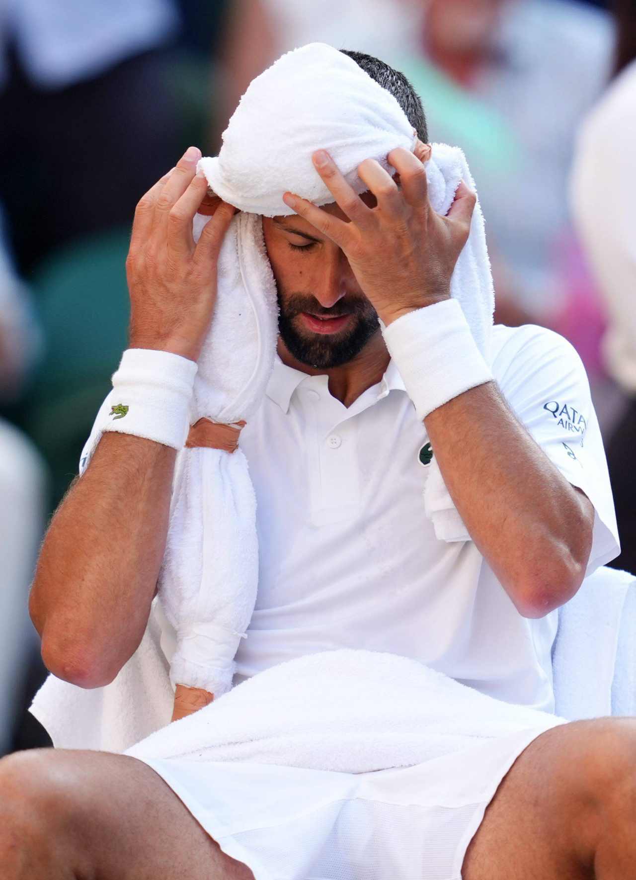 Novak Djokovic: «Carlos Alcaraz me pasó por encima en la final de Wimbledon 2024» 3 Novak Djokovic (Foto: Cordon Press)