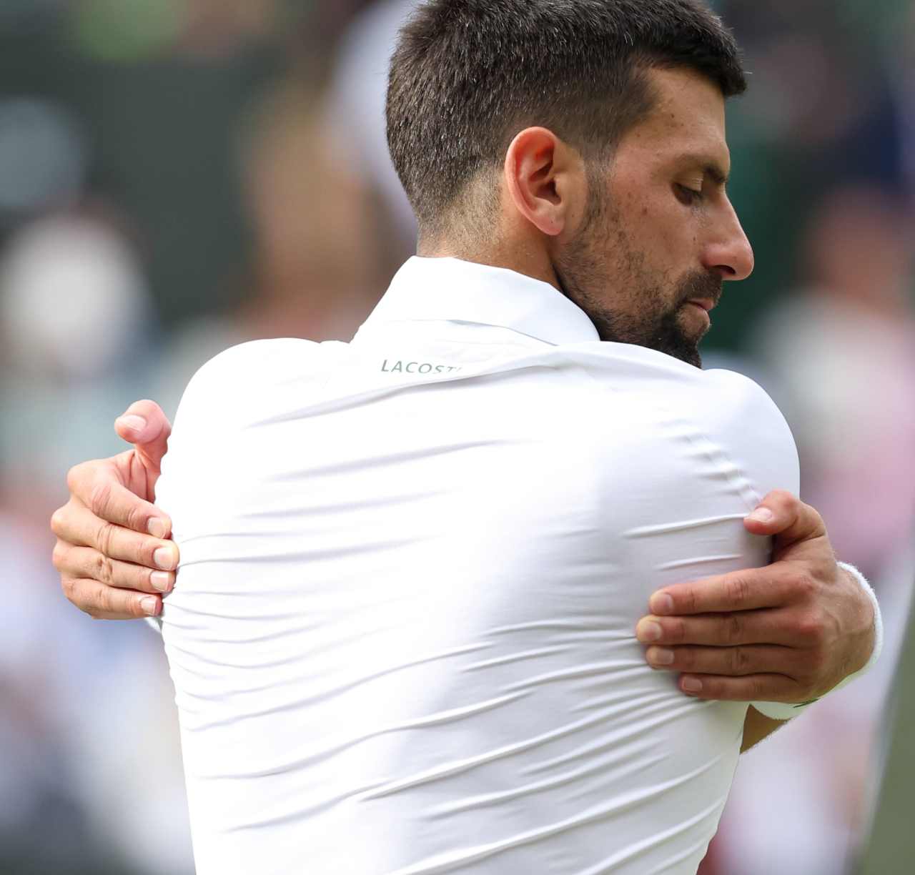 Novak Djokovic: «Carlos Alcaraz me pasó por encima en la final de Wimbledon 2024» 4 Novak Djokovic (Foto: Cordon Press)