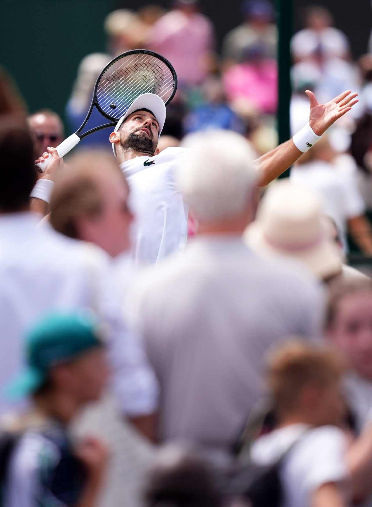 Novak Djokovic: «Carlos Alcaraz me pasó por encima en la final de Wimbledon 2024» 6 Novak Djokovic (Foto: Cordon Press)