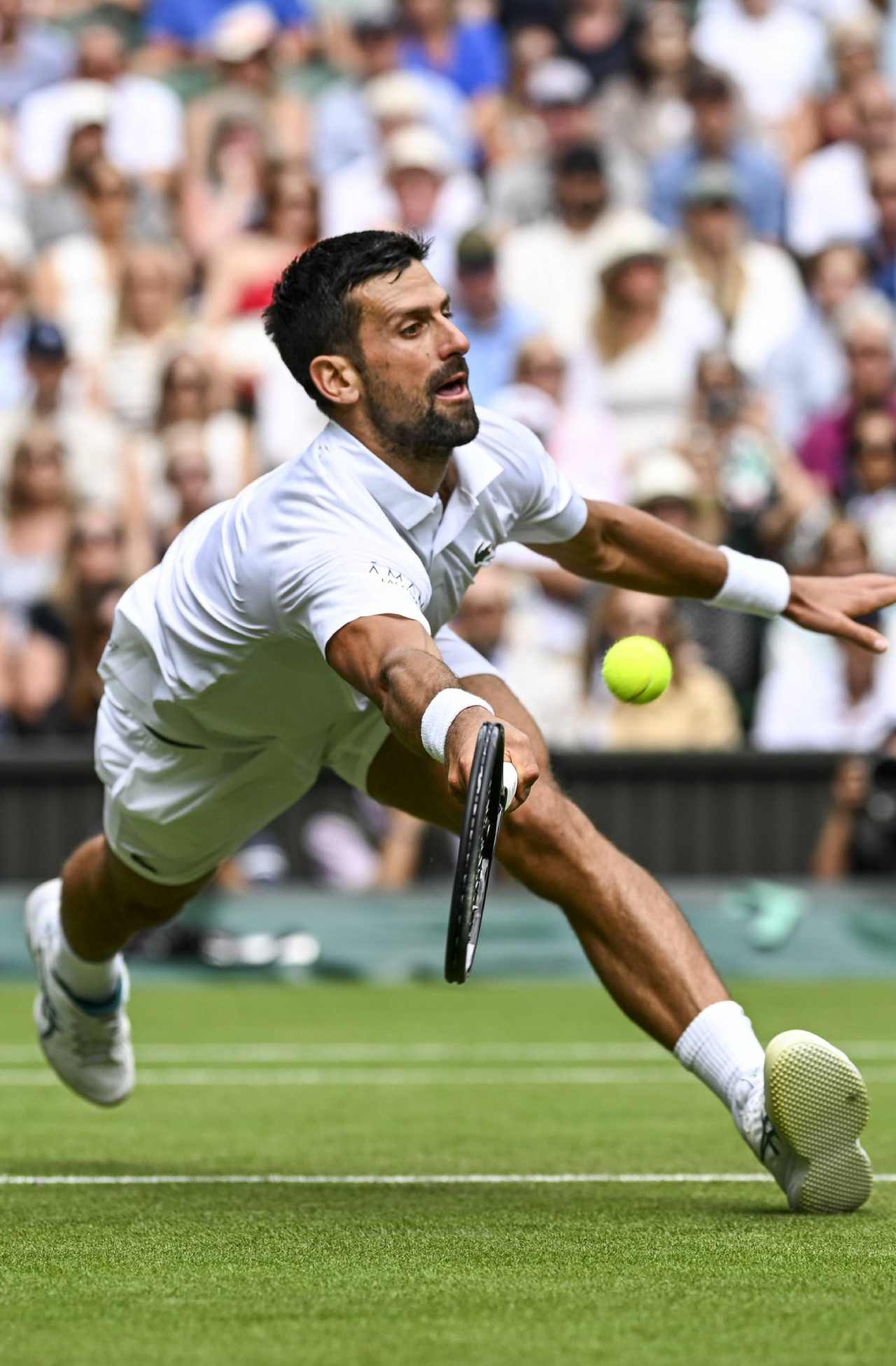 Novak Djokovic: «Carlos Alcaraz me pasó por encima en la final de Wimbledon 2024» 7 Novak Djokovic (Foto: Cordon Press)