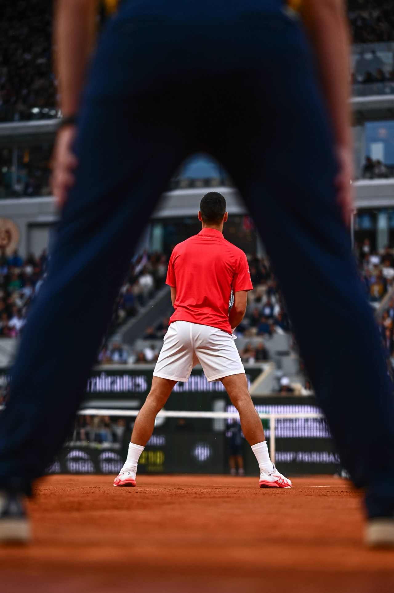 Novak Djokovic: «Carlos Alcaraz me pasó por encima en la final de Wimbledon 2024» 8 Novak Djokovic (Foto: Cordon Press)