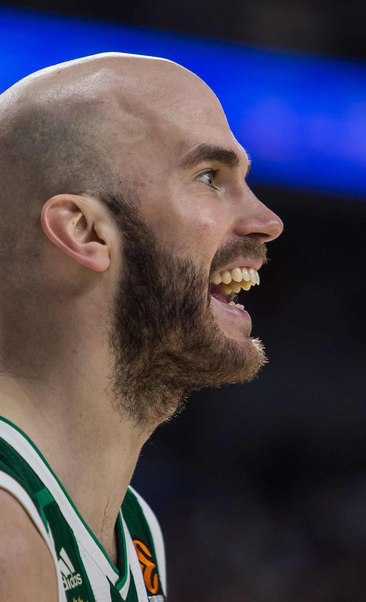 Nick Calathes: «La peor experiencia de mi carrera fue quedarme dormido en una sesión de vídeo de Obradovic, me quería matar» 4 Nick Calathes (Foto: Cordon Press)