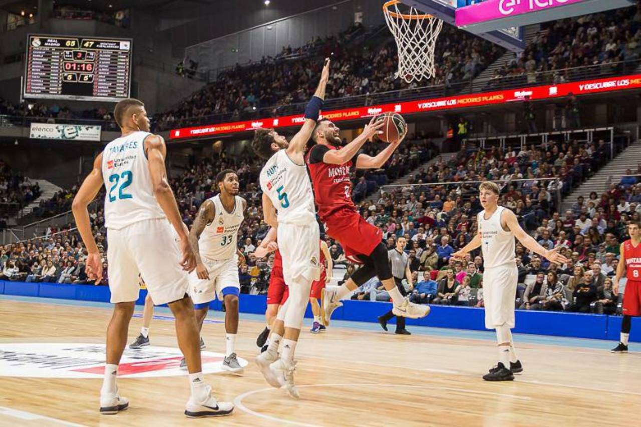 Marko Popović: «Me da envidia el baloncesto español. Y no sólo el baloncesto, también el fútbol, el balonmano o el waterpolo» 12 Marko Popovic (Foto: Cordon Press)
