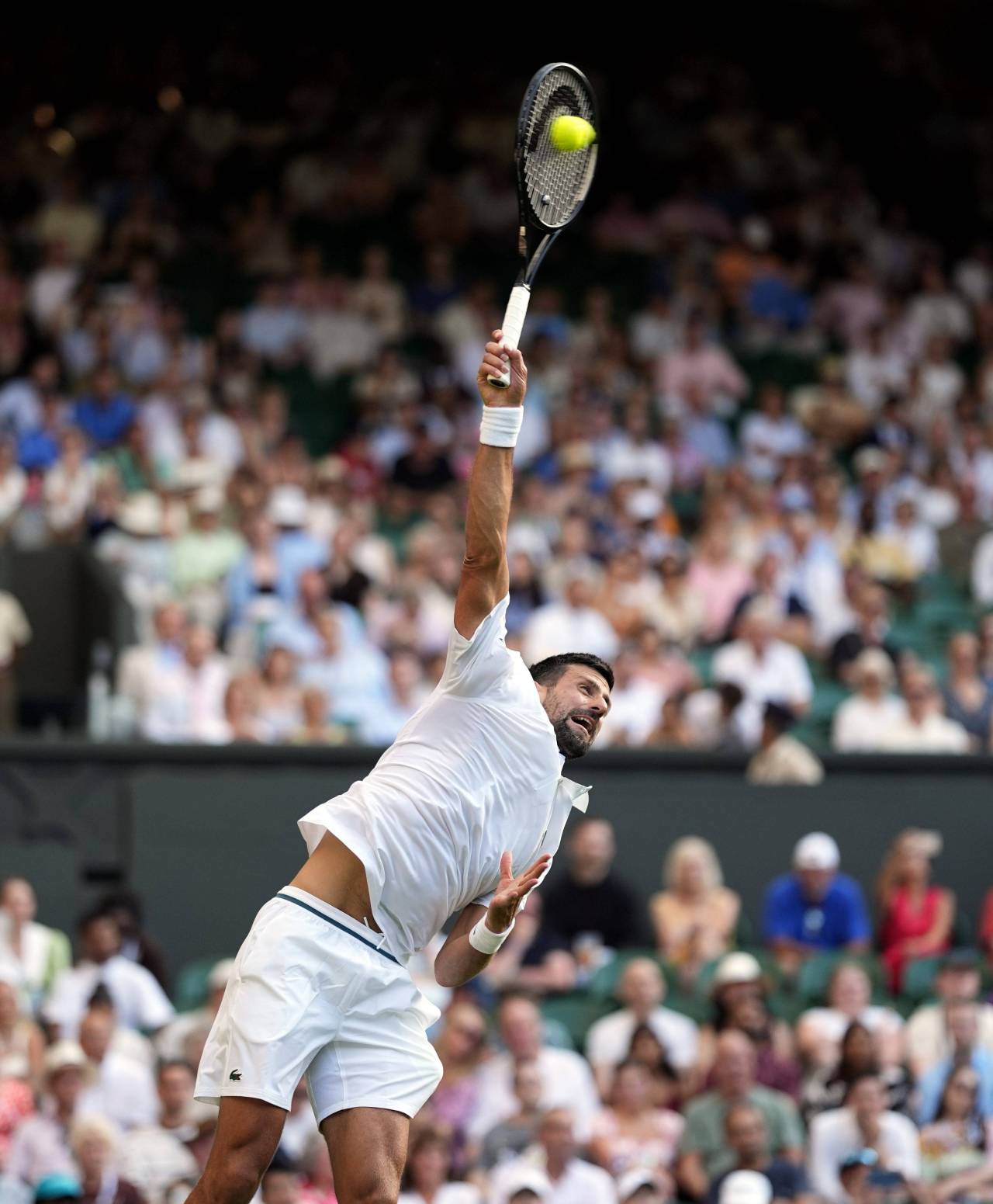 Novak Djokovic: «También hubo momentos desagradables entre Rafa Nadal, Federer y yo, a ese nivel no vas a salir a cenar con ellos todas las noches» 4 Novak Djokovic (Foto: Cordon Press)